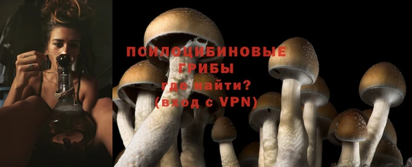 spice Волоколамск
