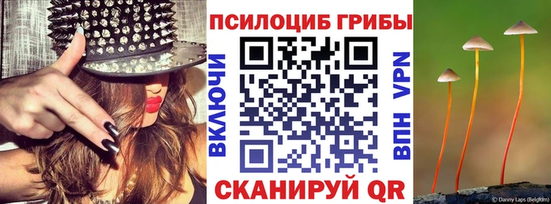 Галлюциногенные грибы ЛСД  Волхов 